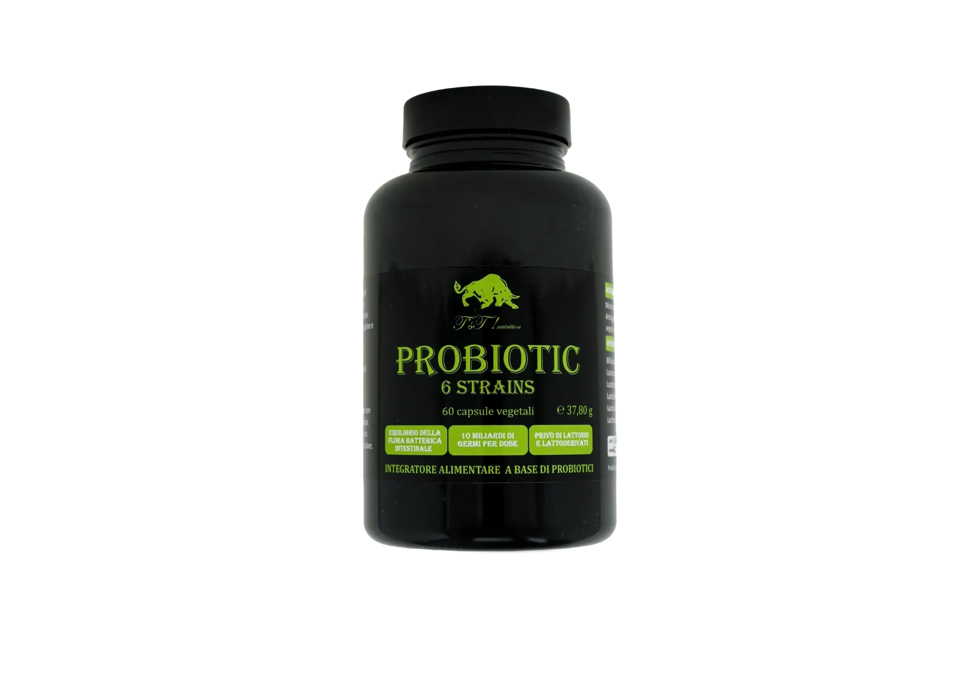 PROBIOTIC 6 STRAINS